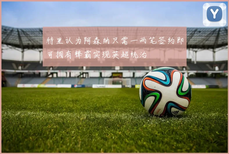 特里认为阿森纳只需一两笔签约即可拥有锋霸实现英超统治